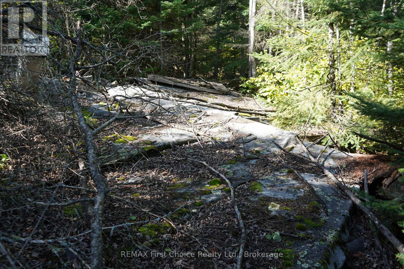 145 Little Sand Lake, Kenora Remote Area, Ontario  P0X 1J0 - Photo 25 - X13824196