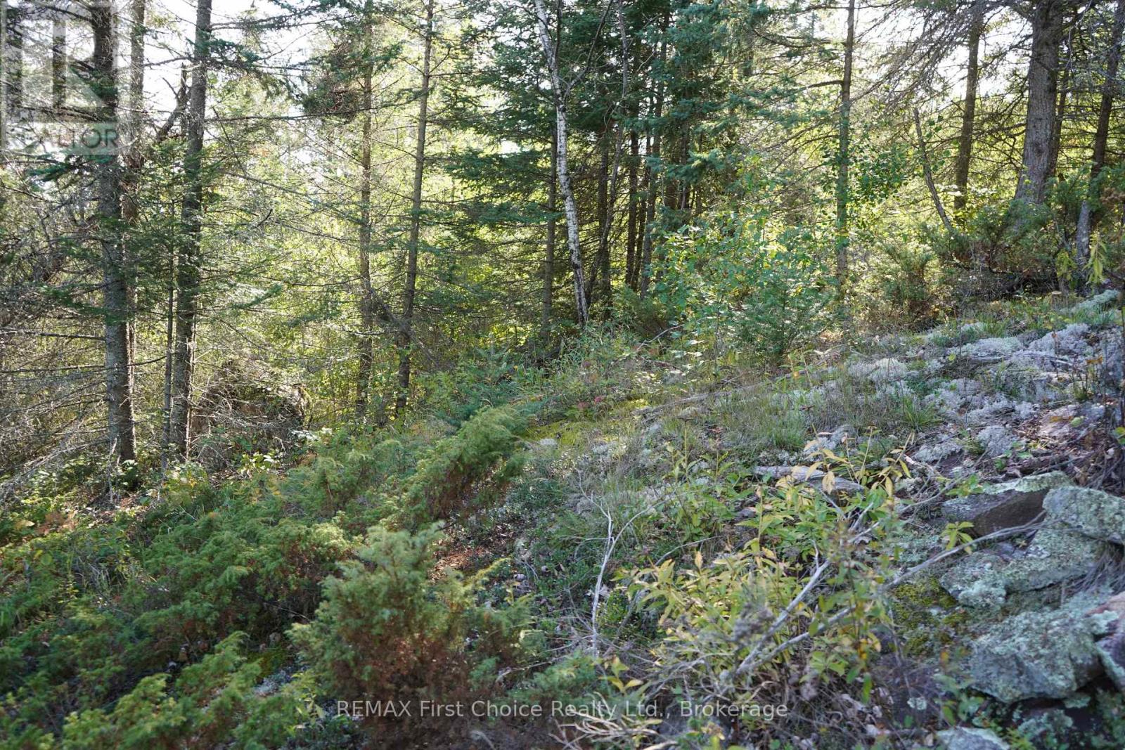 145 Little Sand Lake, Kenora Remote Area, Ontario  P0X 1J0 - Photo 27 - X13824196