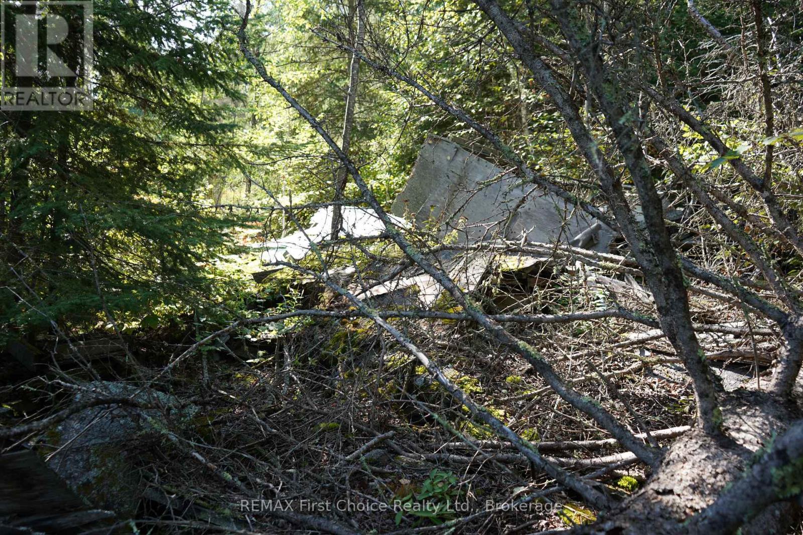 145 Little Sand Lake, Kenora Remote Area, Ontario  P0X 1J0 - Photo 23 - X13824196