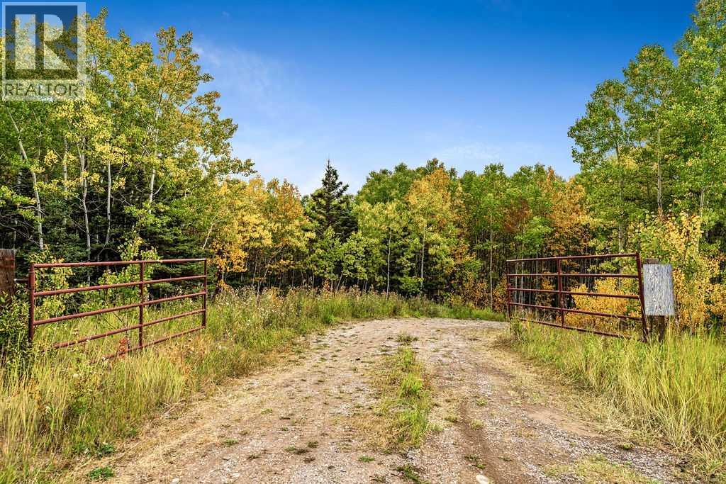 W:5 R:3 T:22 S:29 Q:nw Drive, Rural Foothills County, Alberta  T0L 1W0 - Photo 3 - A2079106