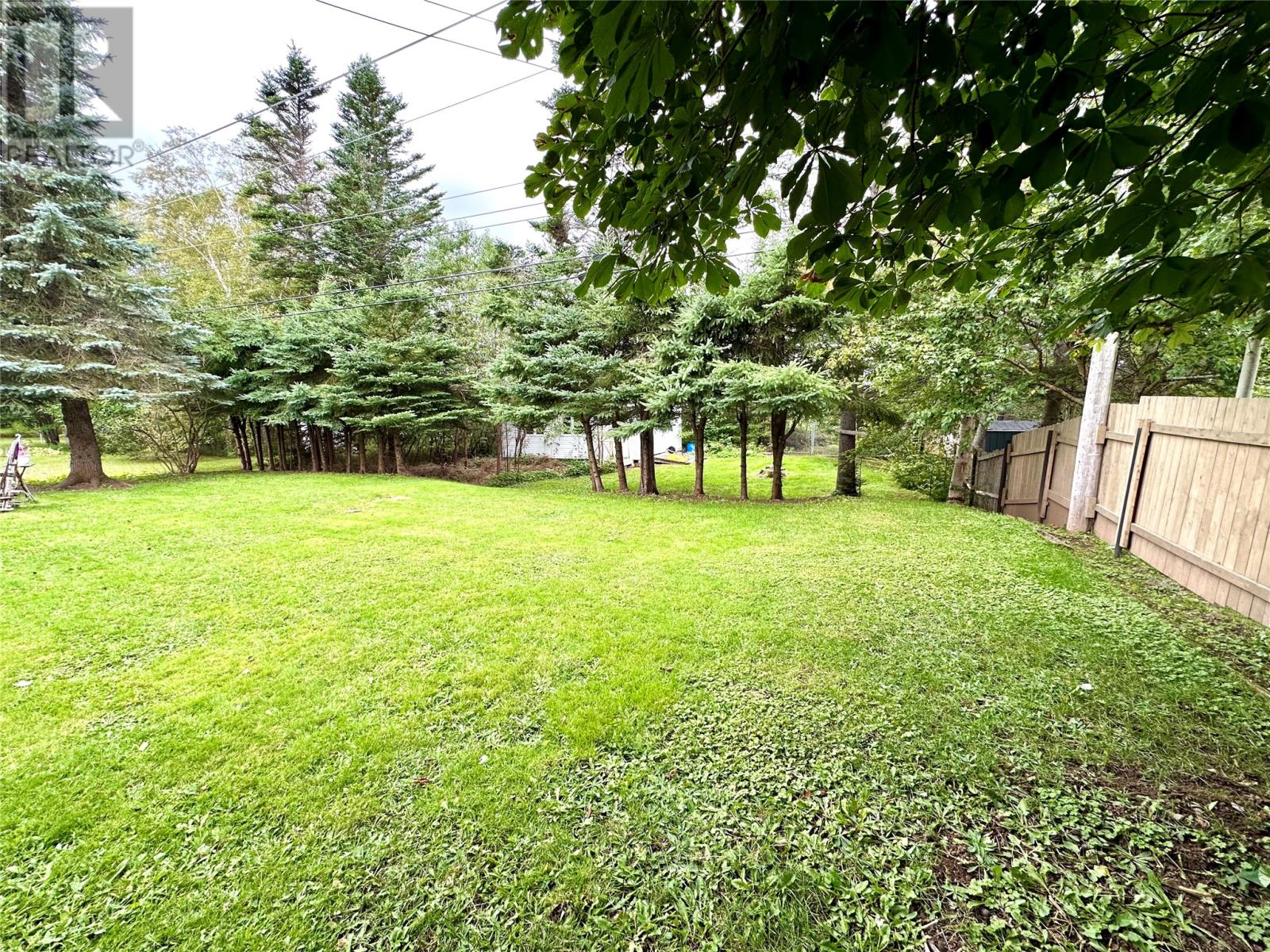 21 Sheppard Street, Grand Falls-Windsor, Newfoundland & Labrador  A2A 2S1 - Photo 16 - 1303612