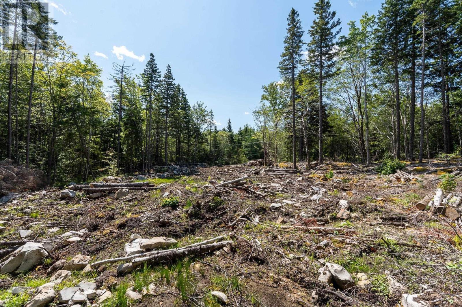 Lot Llewellyn Road, Middlewood, Nova Scotia  B4V 6K9 - Photo 19 - 202515796