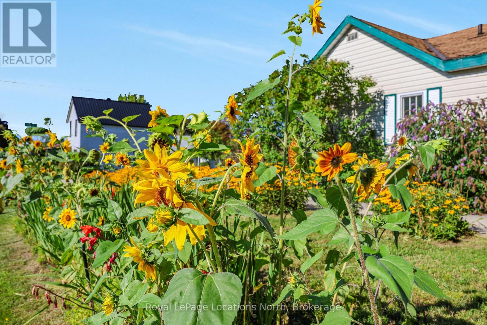 194 Erie Street, Collingwood, Ontario  L9Y 1P7 - Photo 6 - S13824958