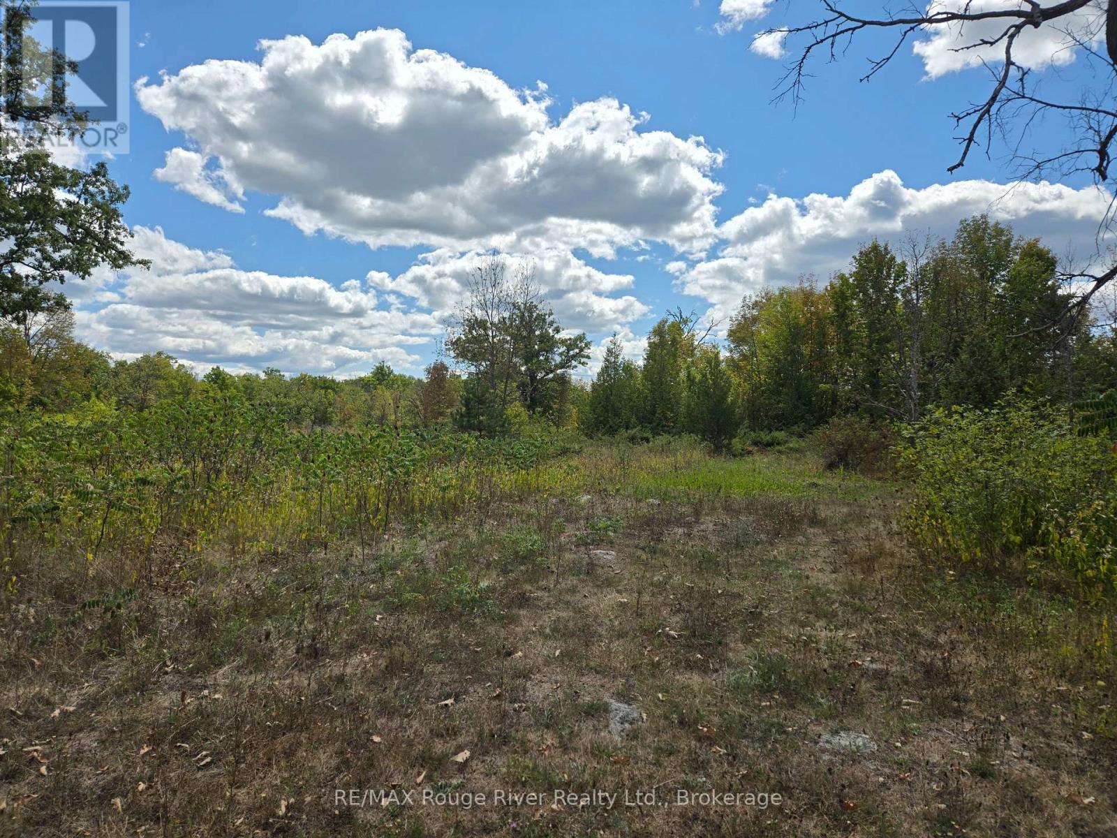 103080 Highway 7 Highway E, Marmora And Lake, Ontario K0K 2M0 - Photo 2 - X13824862
