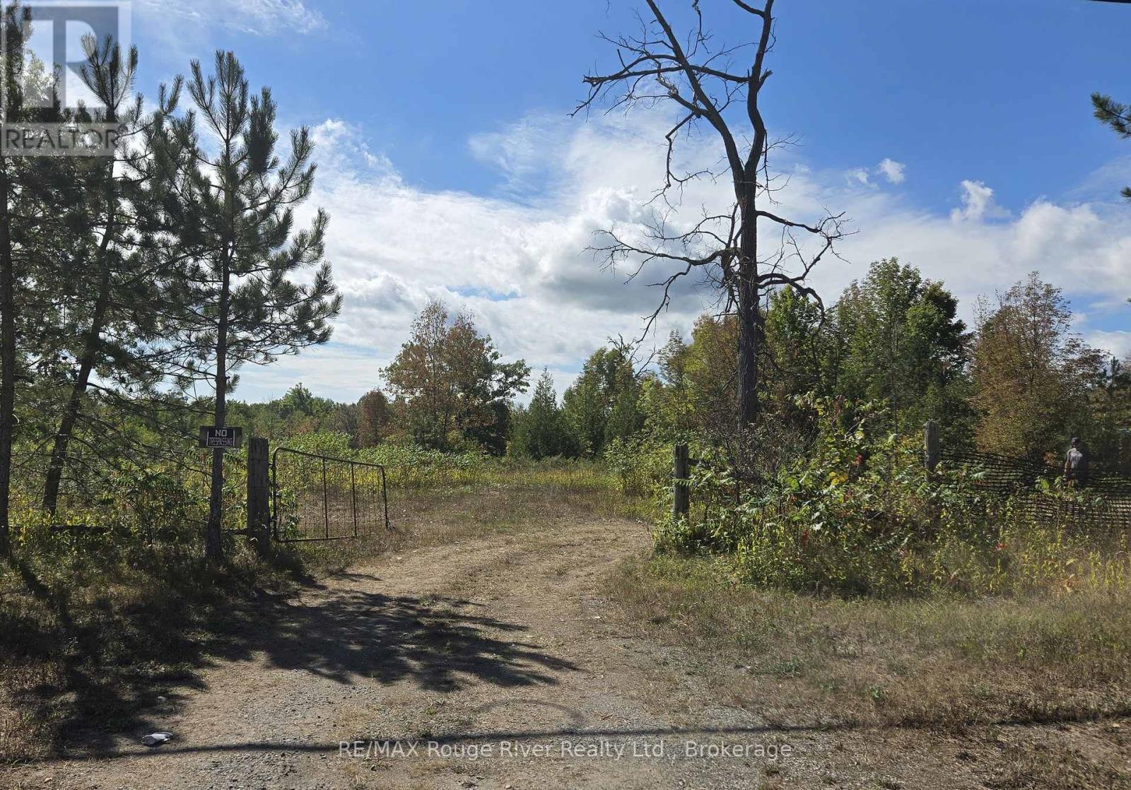 103080 Highway 7 Highway E, Marmora And Lake, Ontario K0K 2M0 - Photo 6 - X13824862