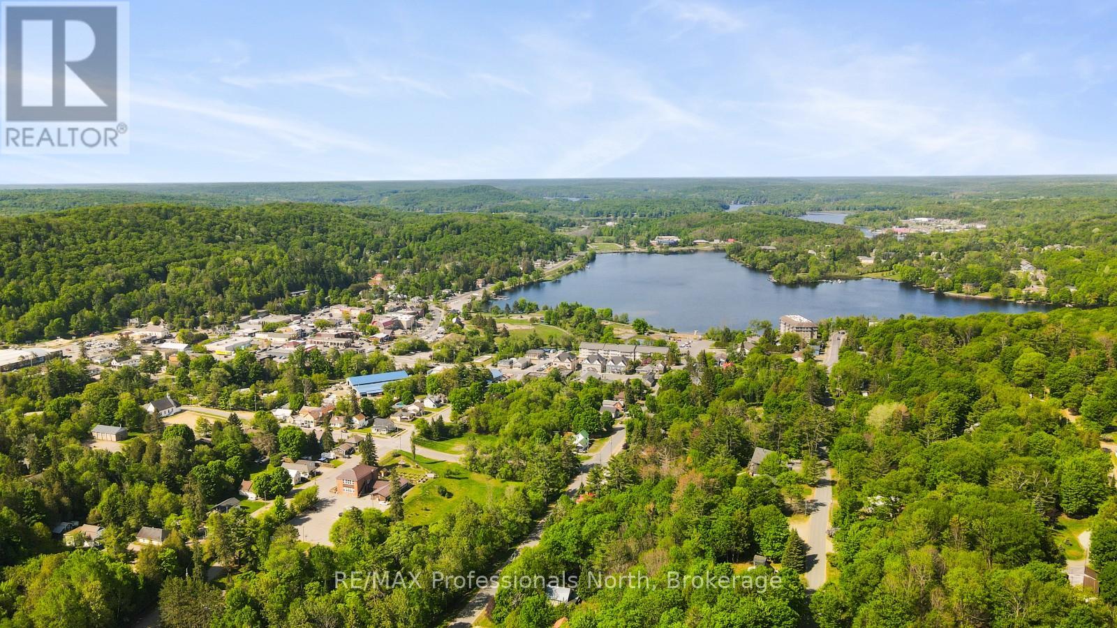 171 Sunnyside Street, Dysart Et Al, Ontario  K0M 1S0 - Photo 41 - X13824942