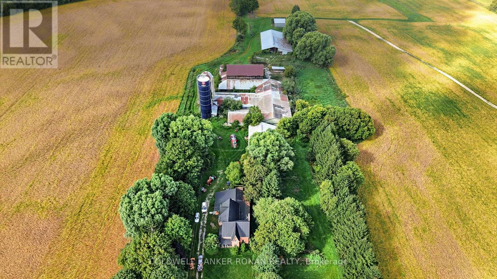 3182 Concession Road 5, Adjala-Tosorontio, Ontario  L0G 1L0 - Photo 1 - N13824864