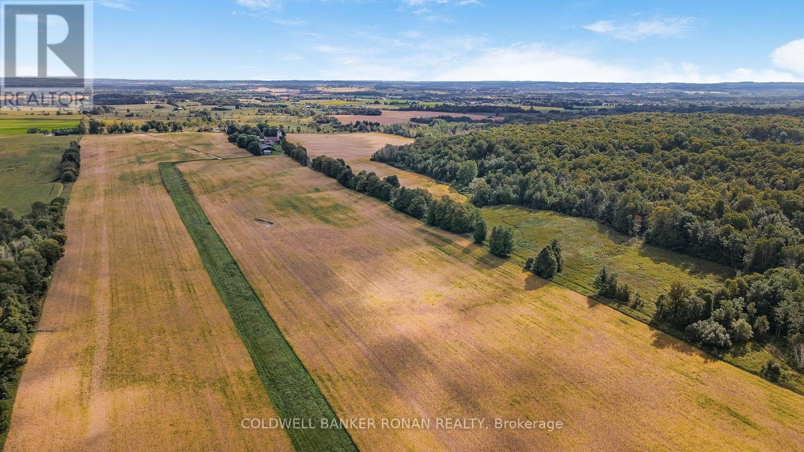 3182 Concession Road 5, Adjala-Tosorontio, Ontario  L0G 1L0 - Photo 10 - N13824864