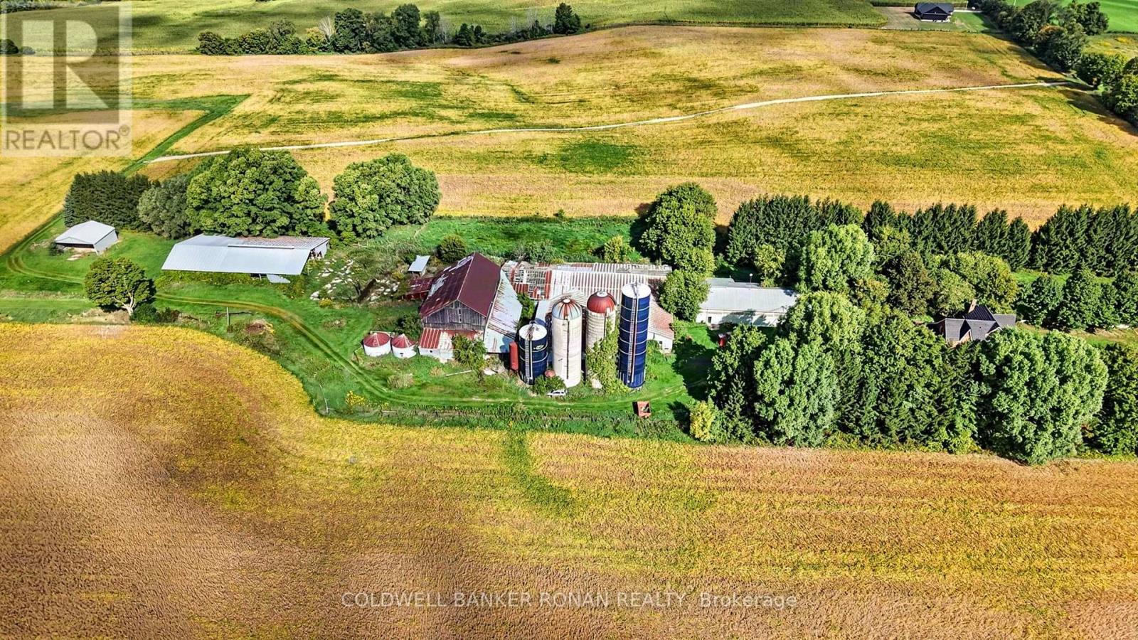3182 Concession Road 5, Adjala-Tosorontio, Ontario  L0G 1L0 - Photo 6 - N13824864