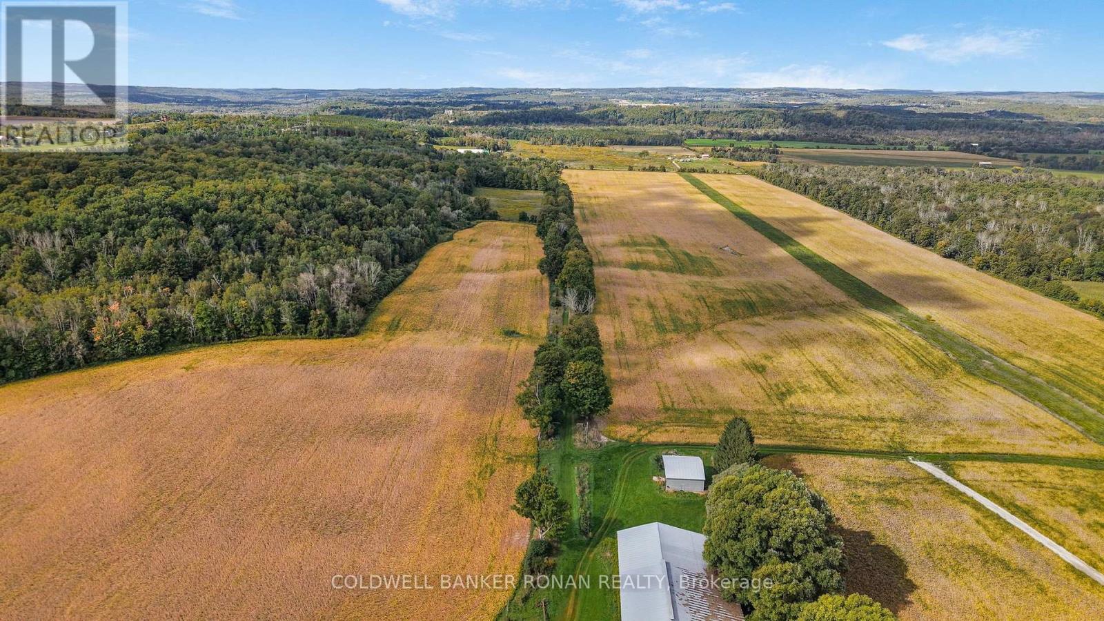 3182 Concession Road 5, Adjala-Tosorontio, Ontario  L0G 1L0 - Photo 12 - N13824882