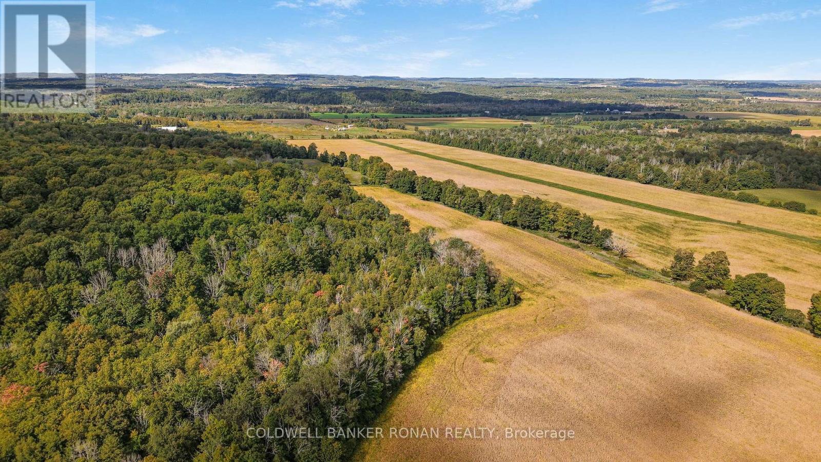 3182 Concession Road 5, Adjala-Tosorontio, Ontario  L0G 1L0 - Photo 13 - N13824882