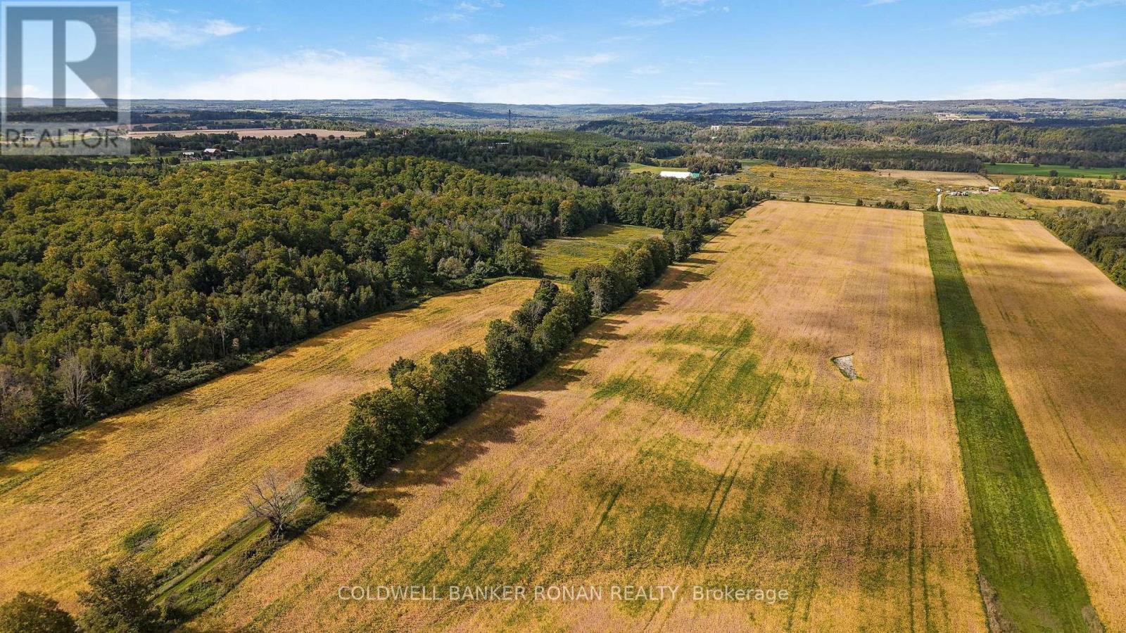 3182 Concession Road 5, Adjala-Tosorontio, Ontario  L0G 1L0 - Photo 14 - N13824882