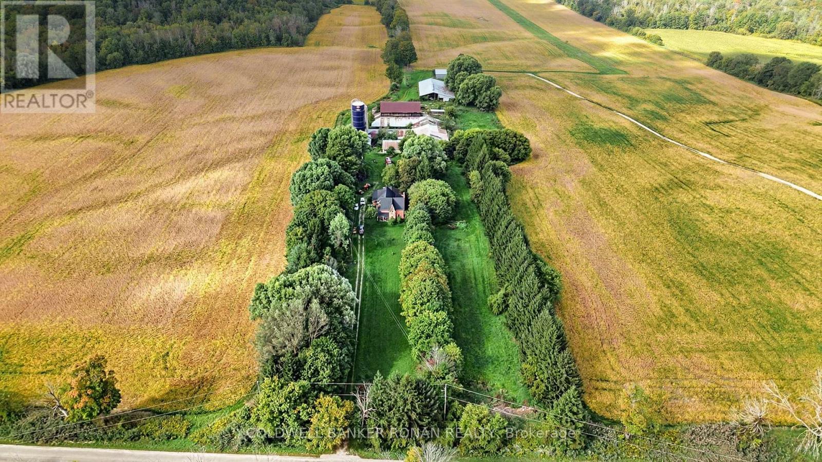 3182 Concession Road 5, Adjala-Tosorontio, Ontario  L0G 1L0 - Photo 5 - N13824882