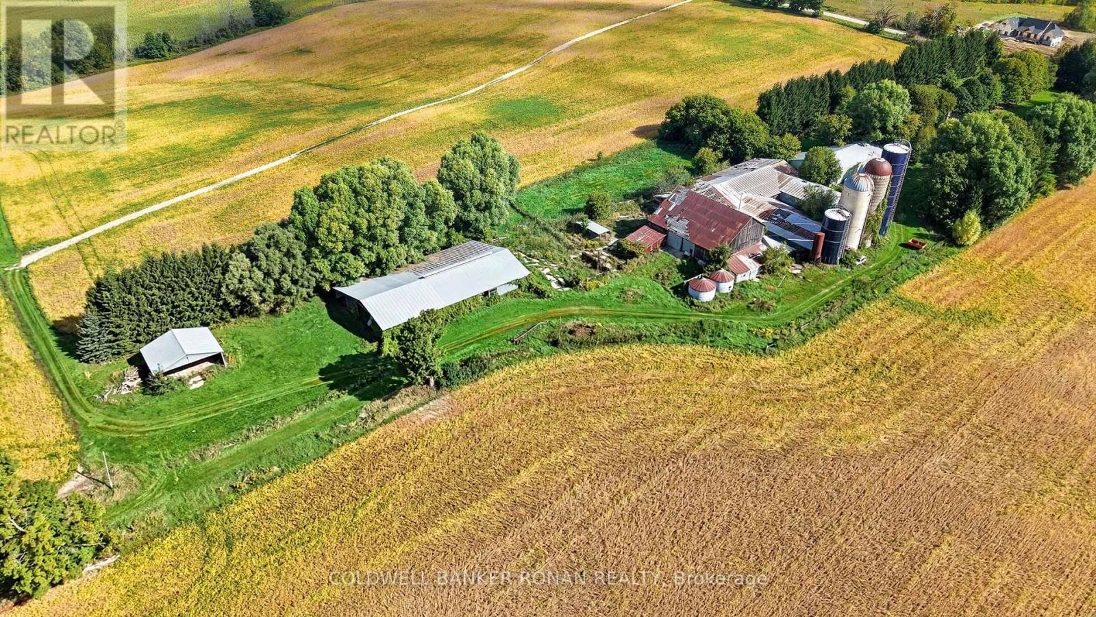 3182 Concession Road 5, Adjala-Tosorontio, Ontario  L0G 1L0 - Photo 7 - N13824882