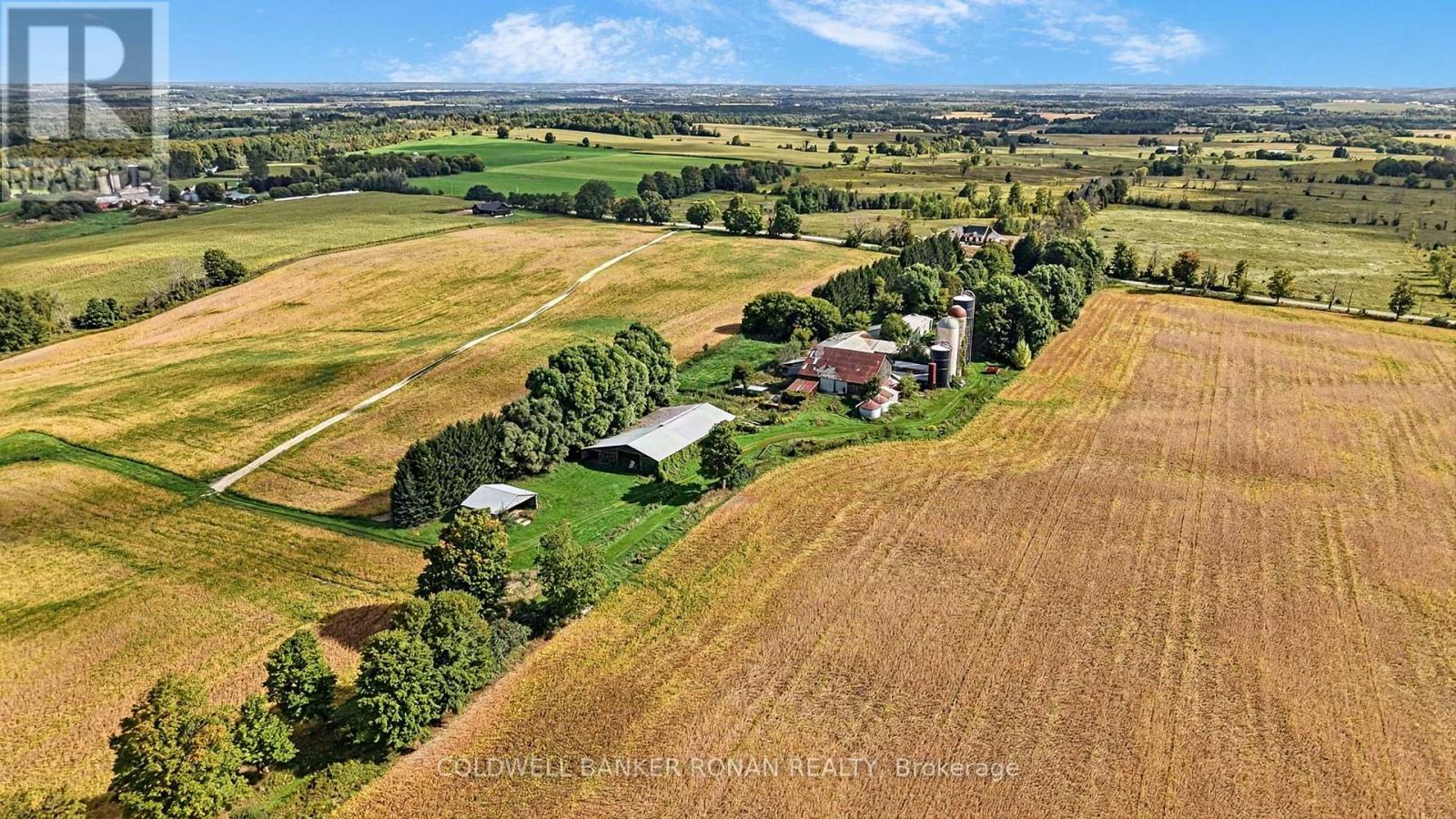 3182 Concession Road 5, Adjala-Tosorontio, Ontario  L0G 1L0 - Photo 8 - N13824882