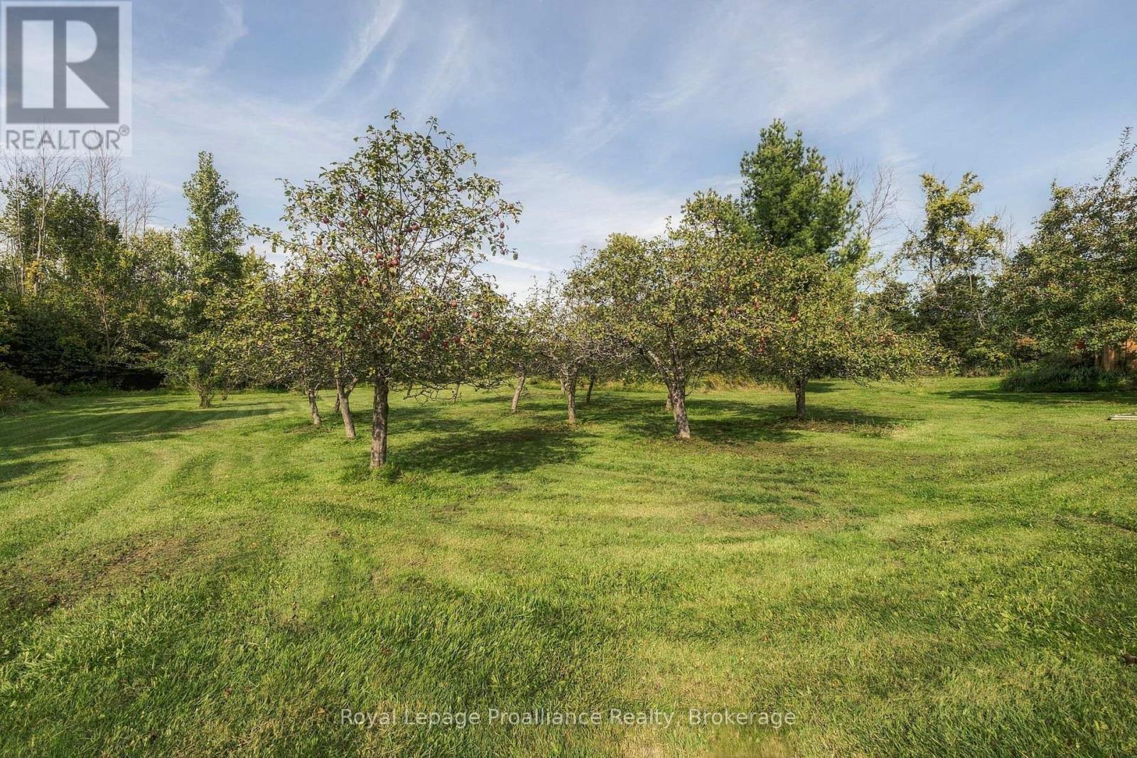 16 Bonisteel Road, Quinte West, Ontario  K8P 5V8 - Photo 41 - X13825128