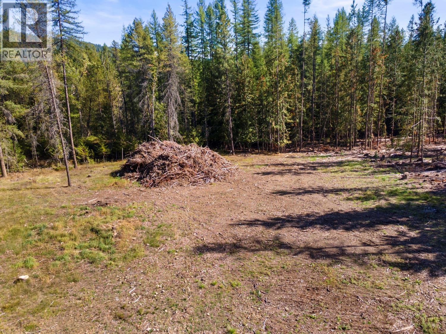 1438 Lepitzki Road, Arrow Creek, British Columbia V0B 1G9 - Photo 4 - 10401636