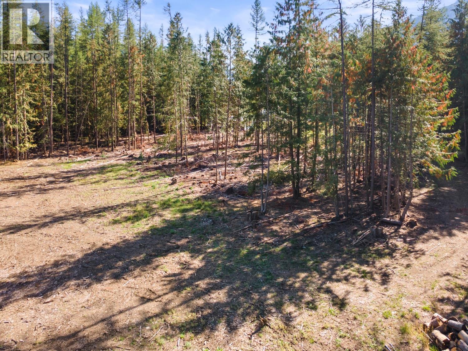 1438 Lepitzki Road, Arrow Creek, British Columbia V0B 1G9 - Photo 38 - 10401636