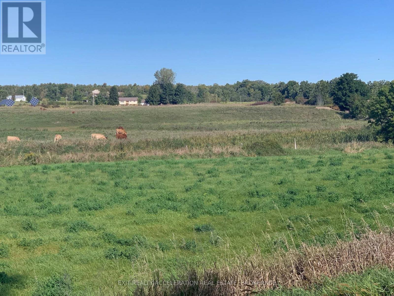 Pt Lt 19 Con 4 County Rd 8, Greater Napanee, Ontario  K7R 3K7 - Photo 24 - X13823922