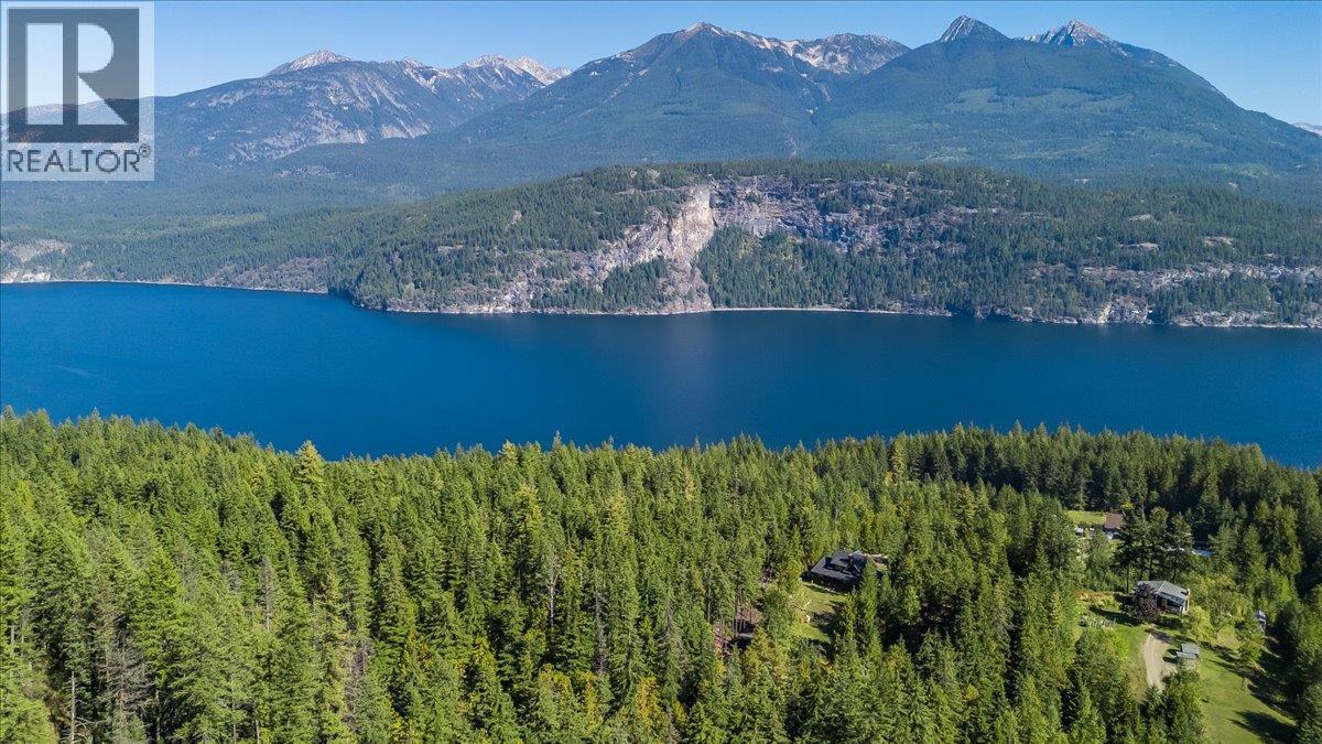 9233 31 Highway, Kaslo, British Columbia  V0G 1M0 - Photo 62 - 10401692