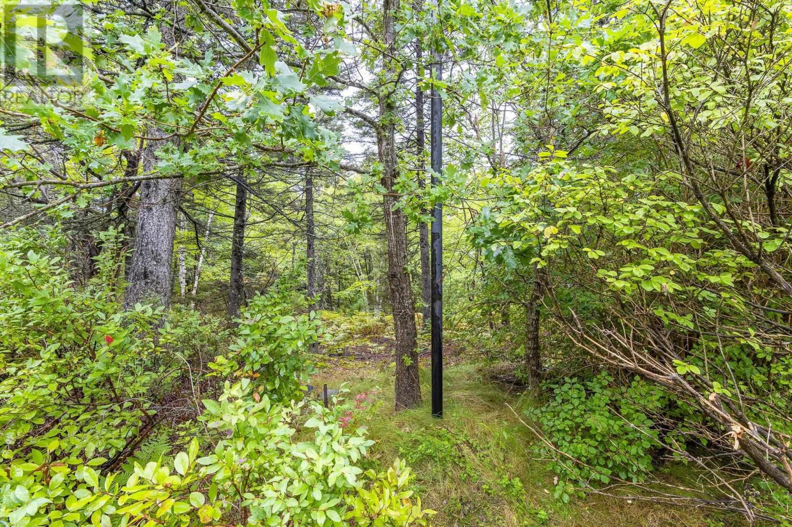 181 Oceanview Drive, Bedford, Nova Scotia  B4A 4G4 - Photo 46 - 202624285