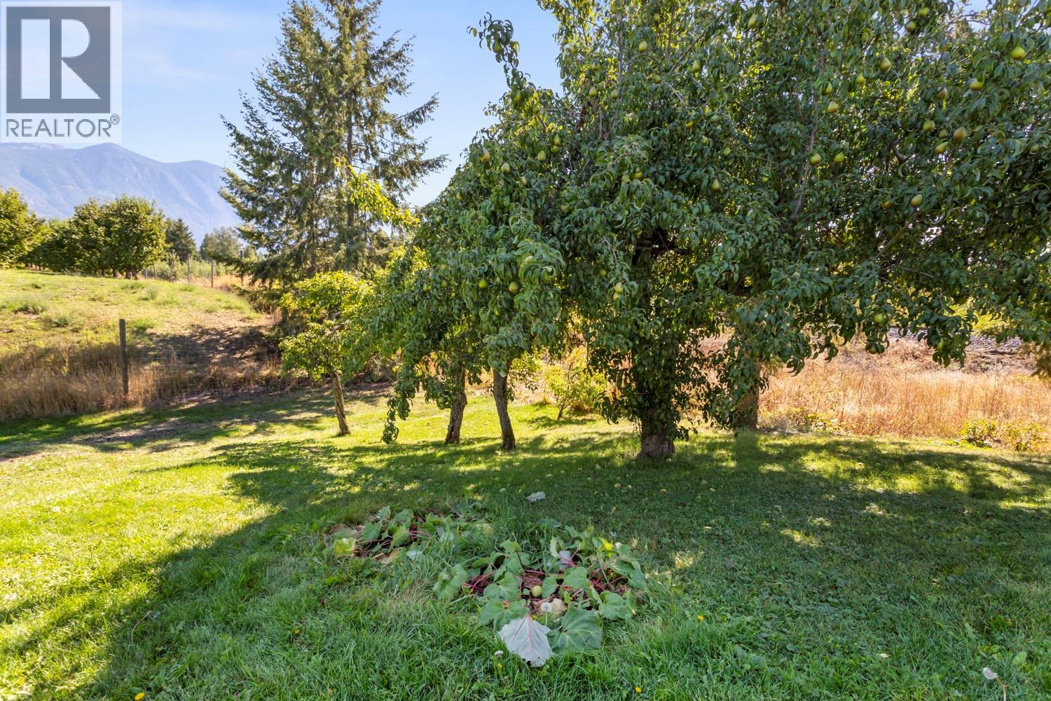 1228 25th Avenue S, Erickson, British Columbia V0B 1G1 - Photo 26 - 10400438