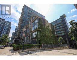 313 - 55 EAST LIBERTY STREET, Toronto, Ontario