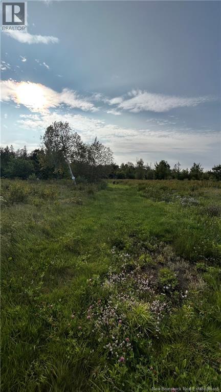 Lot Nowlan Landry Office New Brunswick Canada E8P2K2 5