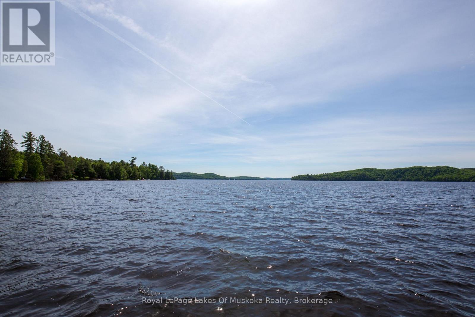 9 - 1111 Dwight Beach Road, Lake Of Bays (Franklin), Ontario  P0A 1H0 - Photo 25 - X13825600