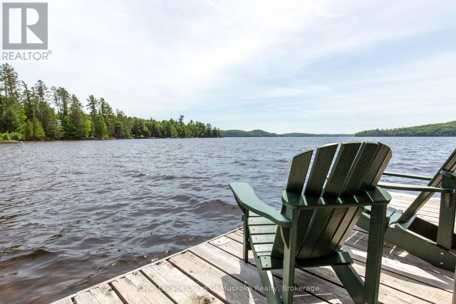 9 - 1111 Dwight Beach Road, Lake Of Bays (Franklin), Ontario  P0A 1H0 - Photo 26 - X13825600