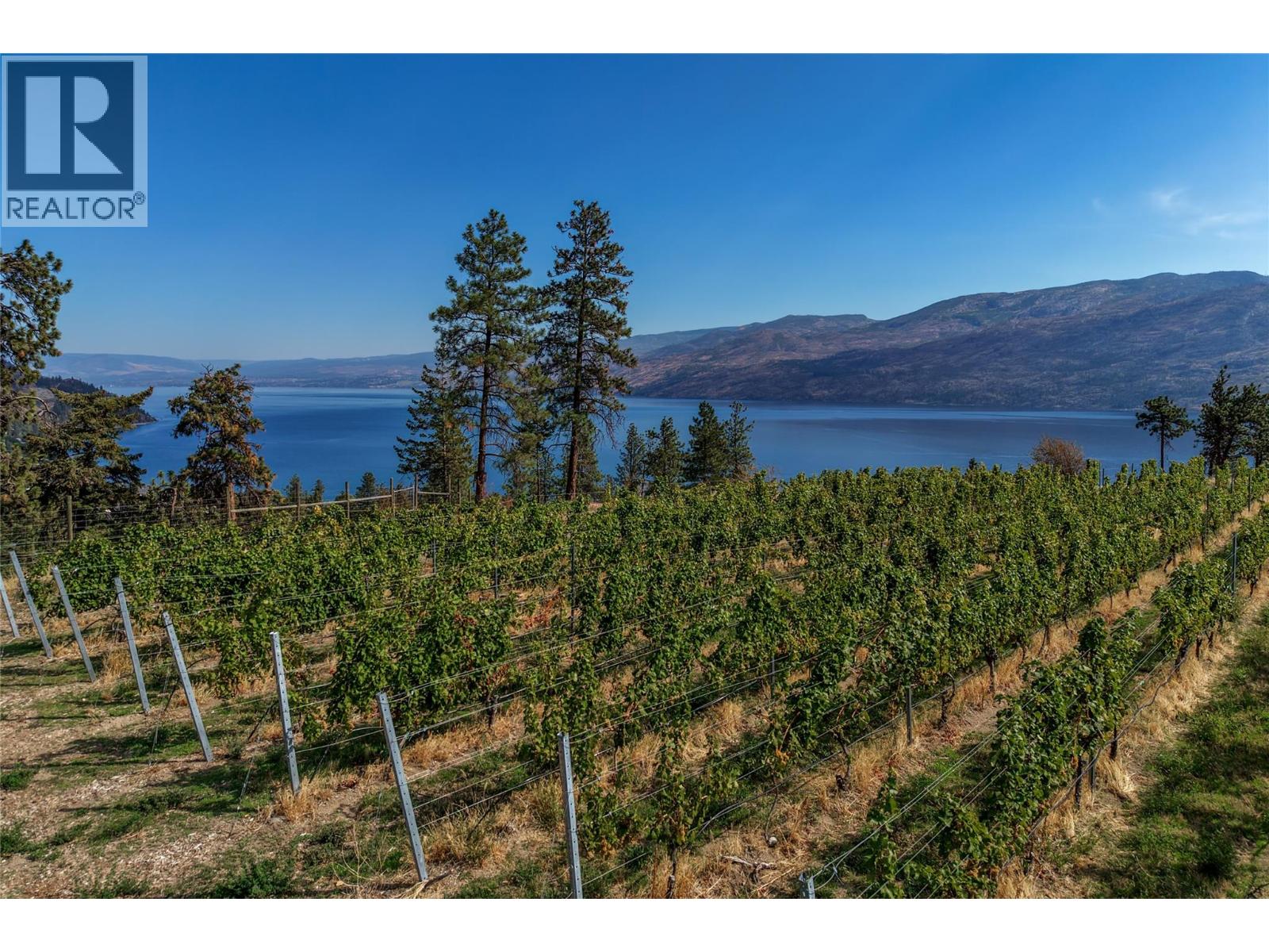 5355 Trepanier Bench Road, Peachland, British Columbia  V0H 1X2 - Photo 23 - 10401858