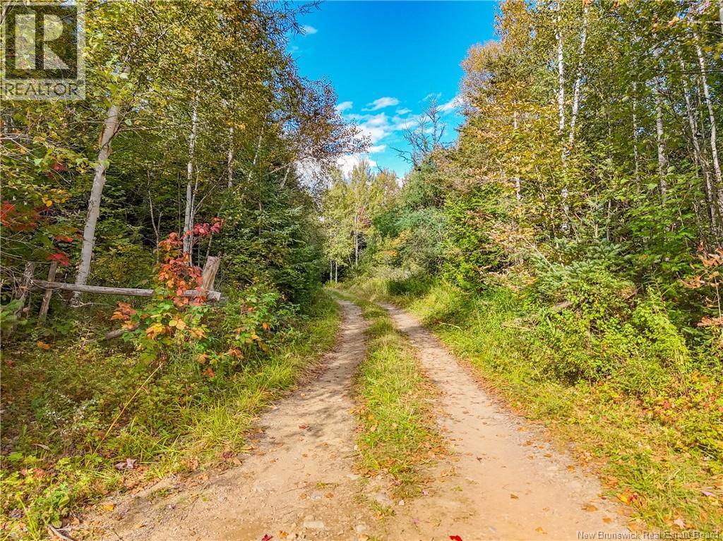 Lot 5-2026 Staples Settlement Road, Staples Settlement, New Brunswick  E6E 1A7 - Photo 6 - NB148428