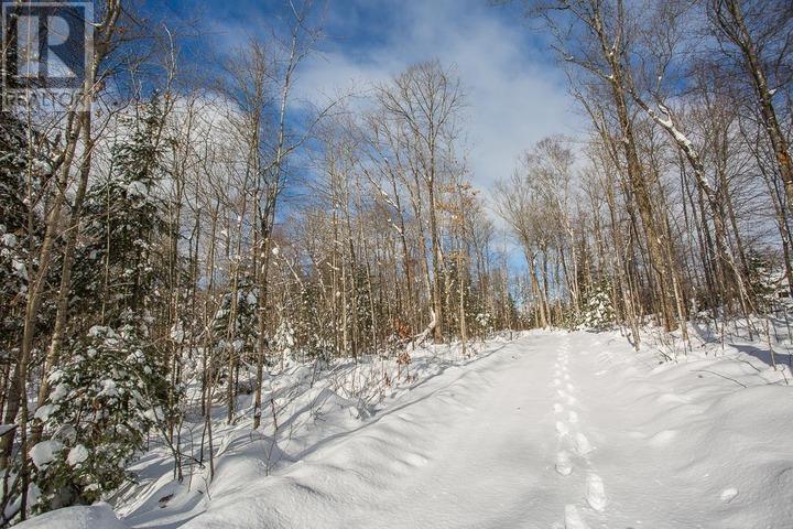 279 Finns Bay Rd N, Laird Township, Echo Bay, Ontario  P0S 1C0 - Photo 35 - SM260424