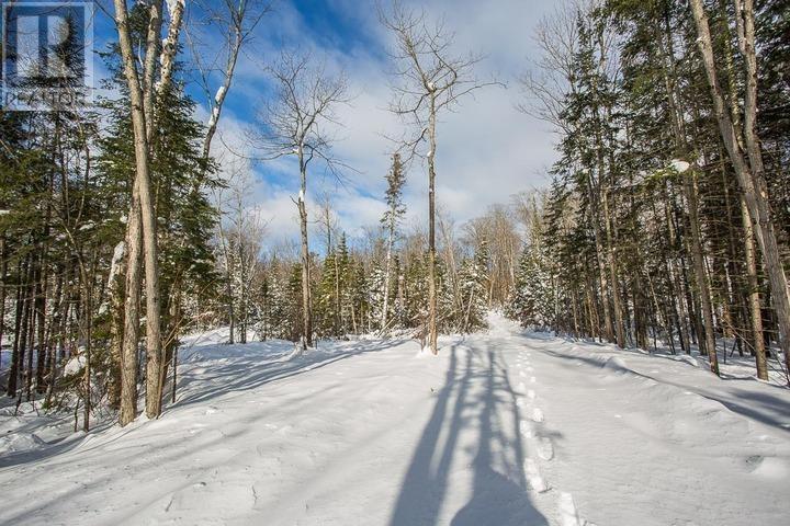 279 Finns Bay Rd N, Laird Township, Echo Bay, Ontario  P0S 1C0 - Photo 49 - SM260424