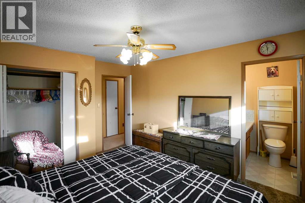 5323 55 Avenue, Viking, Alberta  T0B 4N0 - Photo 14 - A2347347