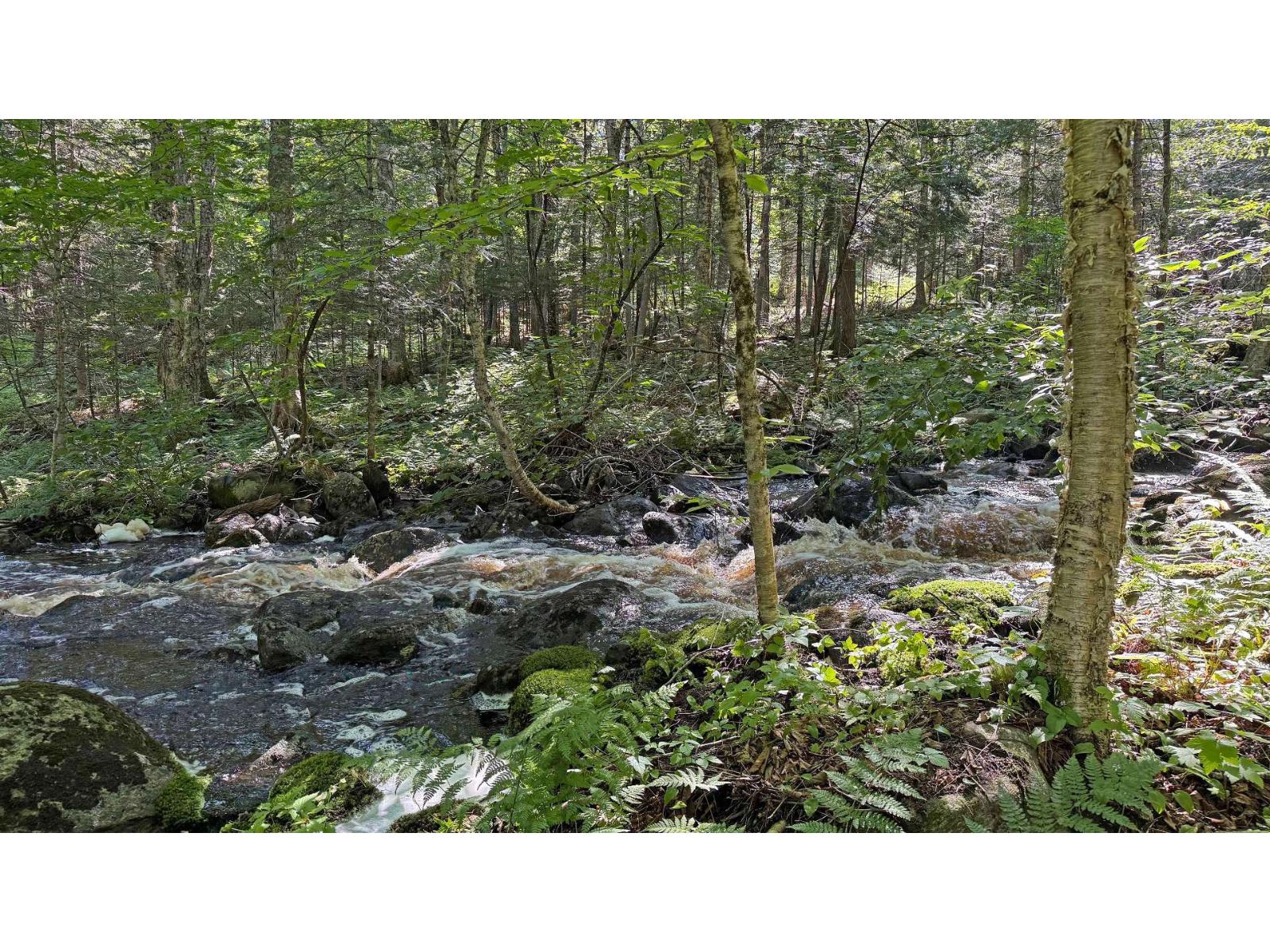 1045 Ch. des Bouleaux Nominingue Quebec Canada J0W1R0 4