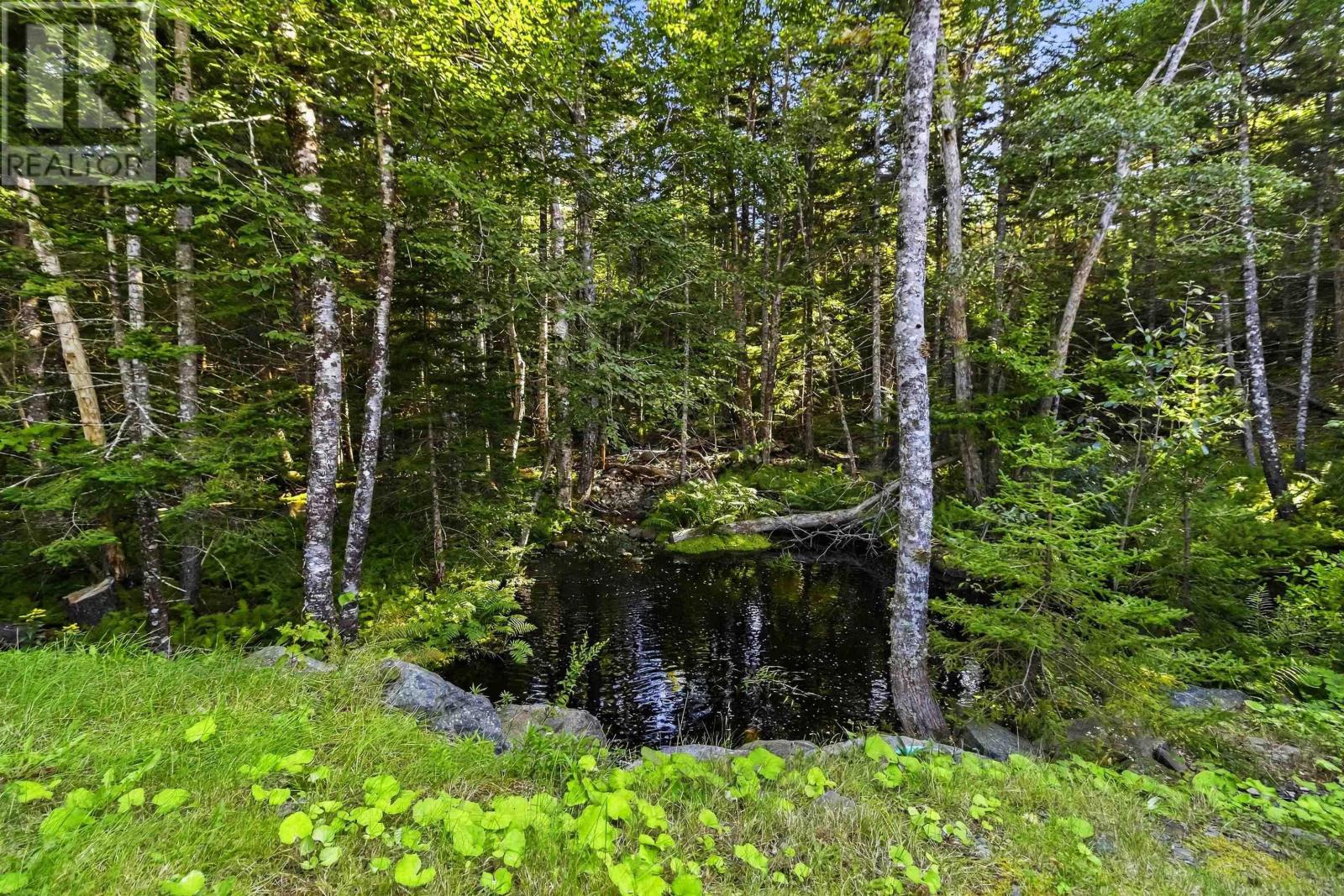61 Colins Road, Hammonds Plains, Nova Scotia  B4B 1S8 - Photo 49 - 202624300