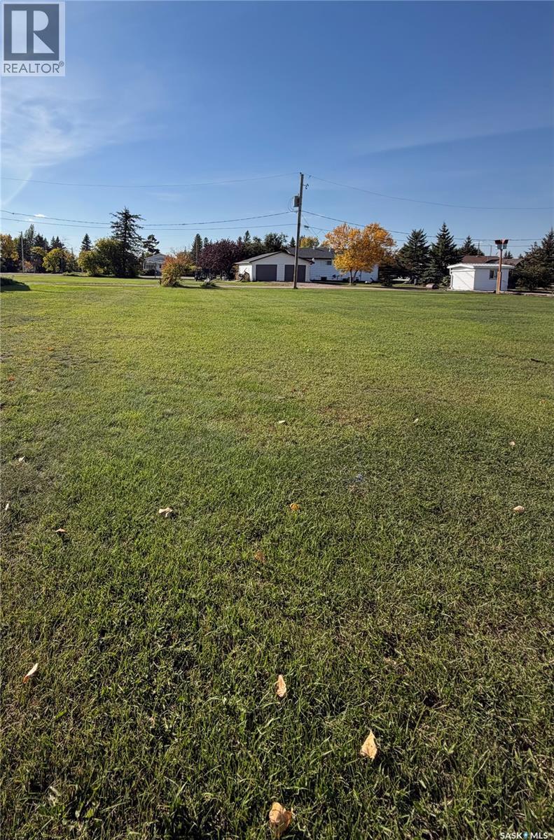 741 & 751 1st Avenue, Zenon Park, Saskatchewan  S0E 1W0 - Photo 8 - SK029756