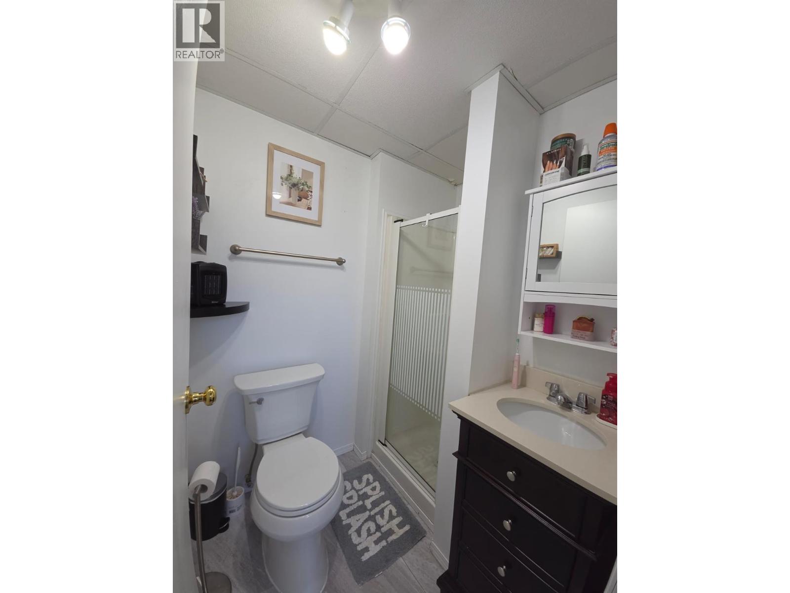 4909 45 Street NE, Chetwynd, British Columbia  V0C 1J0 - Photo 38 - 10401739