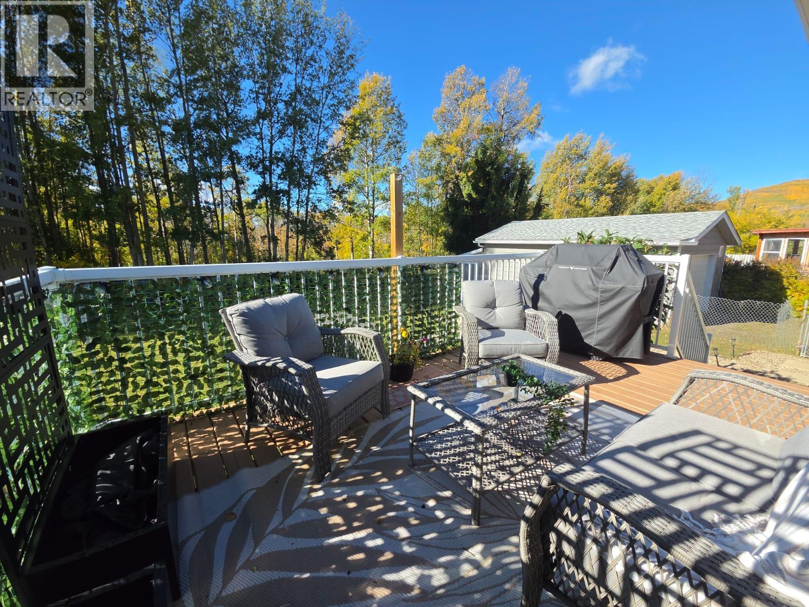 4909 45 Street NE, Chetwynd, British Columbia  V0C 1J0 - Photo 46 - 10401739
