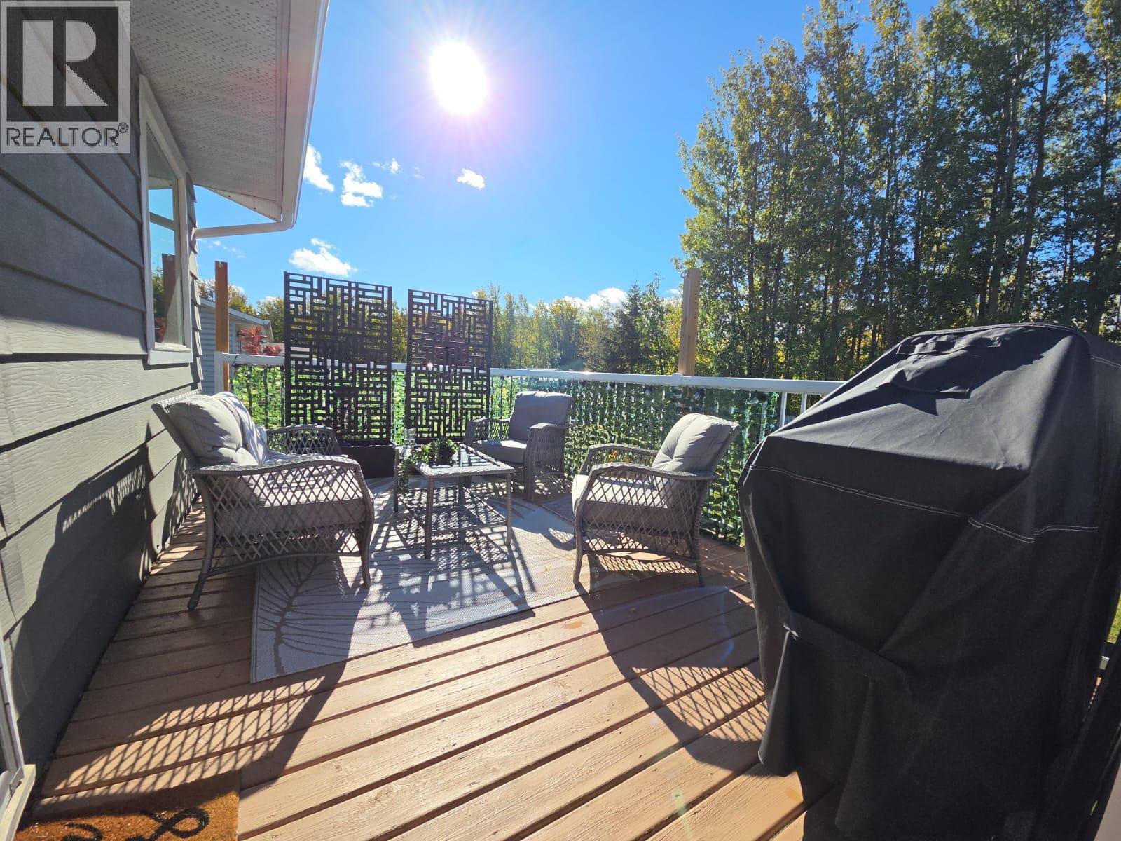 4909 45 Street NE, Chetwynd, British Columbia  V0C 1J0 - Photo 45 - 10401739