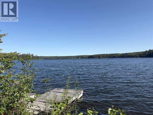 41100 S Bednesti Lake Road, Prince George, British Columbia  V2N 6P4 - Photo 13 - R3161798