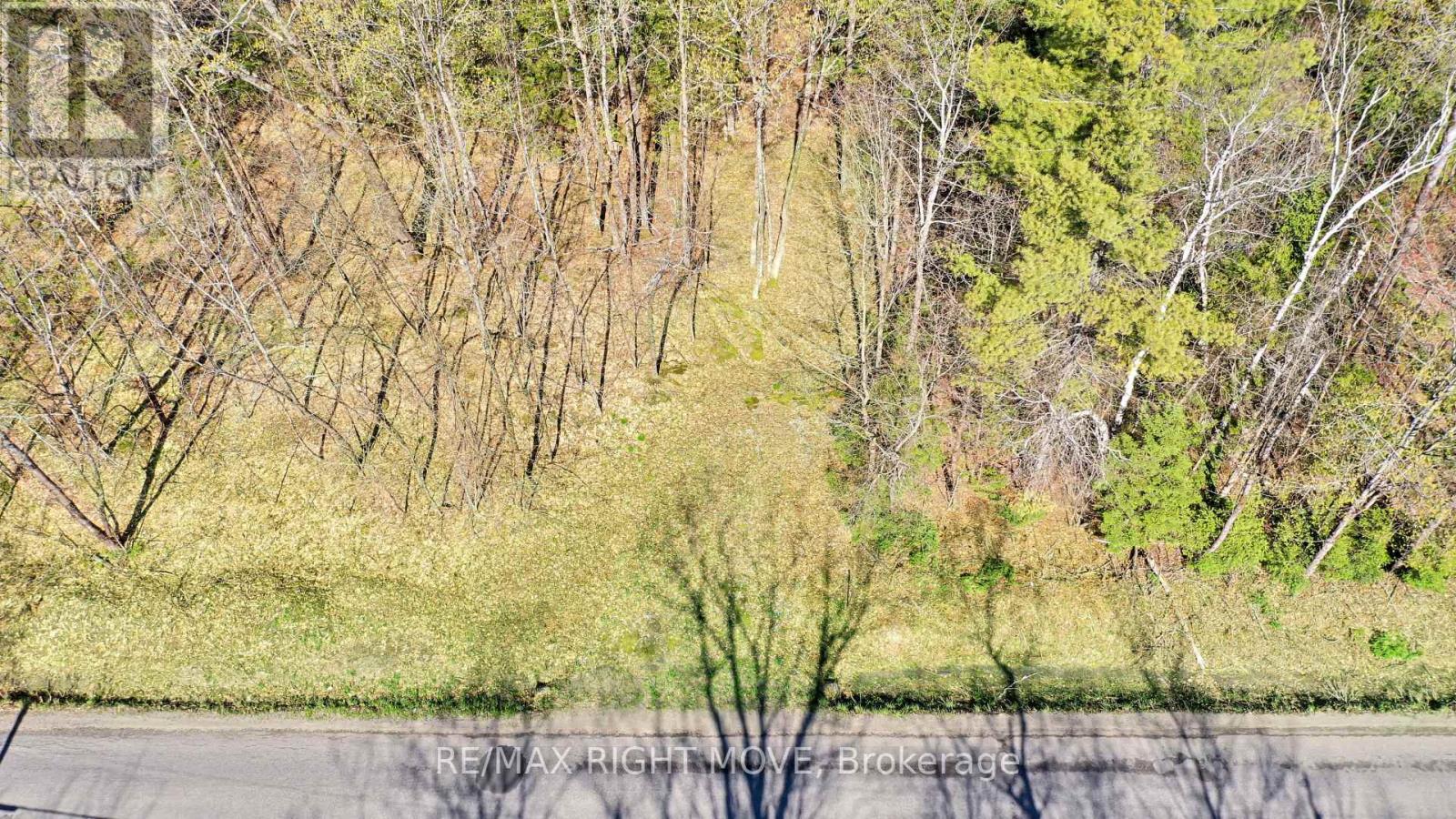 2731 Southwood Road, Gravenhurst, Ontario  P0E 1G0 - Photo 4 - X13826418