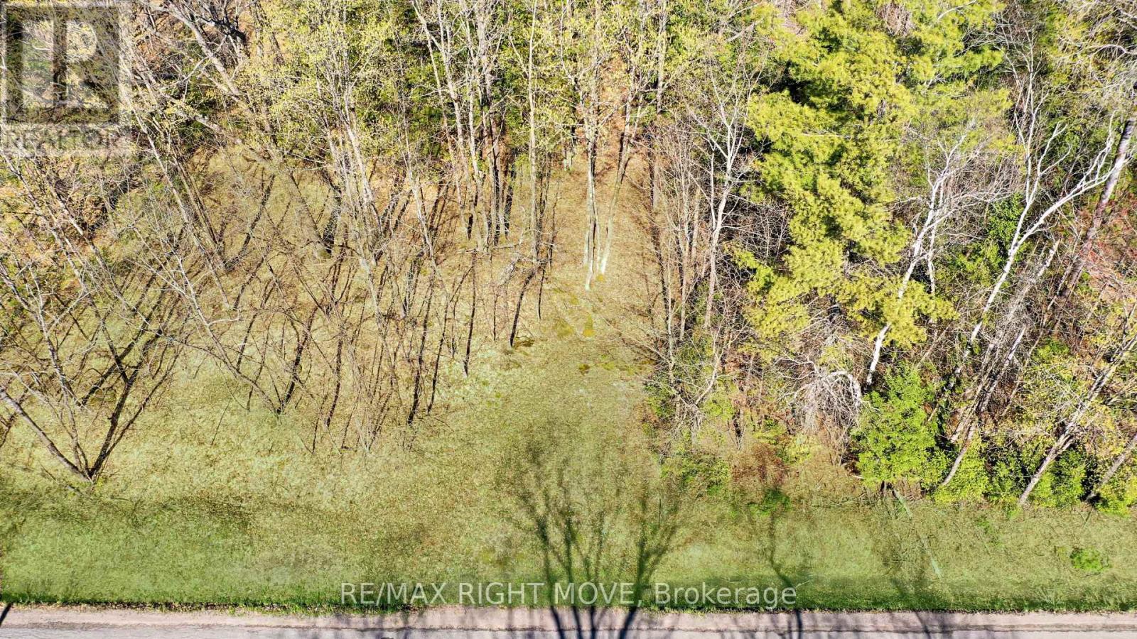 2731 Southwood Road, Gravenhurst, Ontario  P0E 1G0 - Photo 5 - X13826418