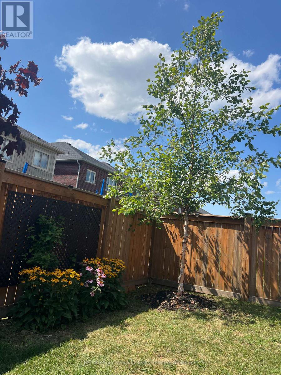 24 Barfoot Street, Collingwood, Ontario  L9Y 3Y8 - Photo 37 - S13826524
