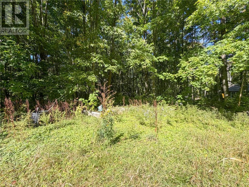 16 Bastien Road, Mindemoya, Ontario  P0P 1S0 - Photo 33 - 2130539