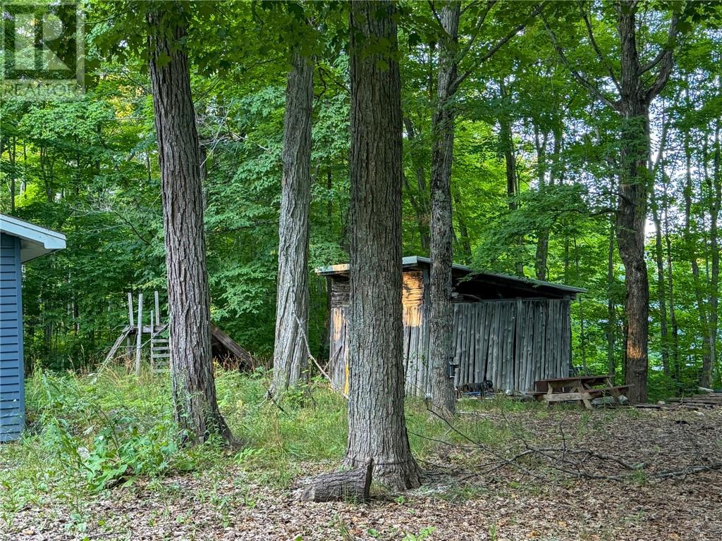 16 Bastien Road, Mindemoya, Ontario  P0P 1S0 - Photo 40 - 2130539