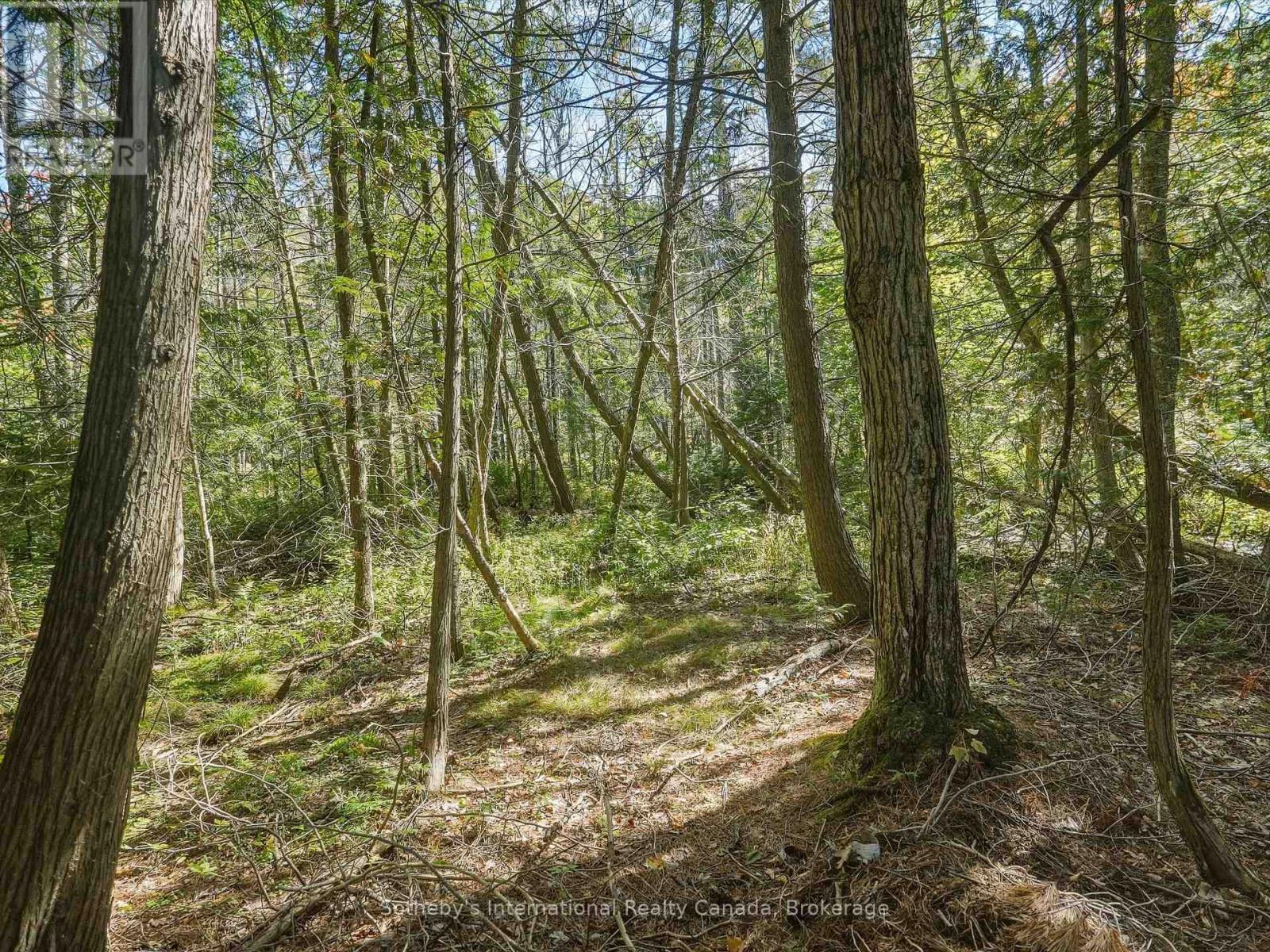 0 Bayview Acres, Lake Of Bays, Ontario  P0B 1A0 - Photo 12 - X13826568