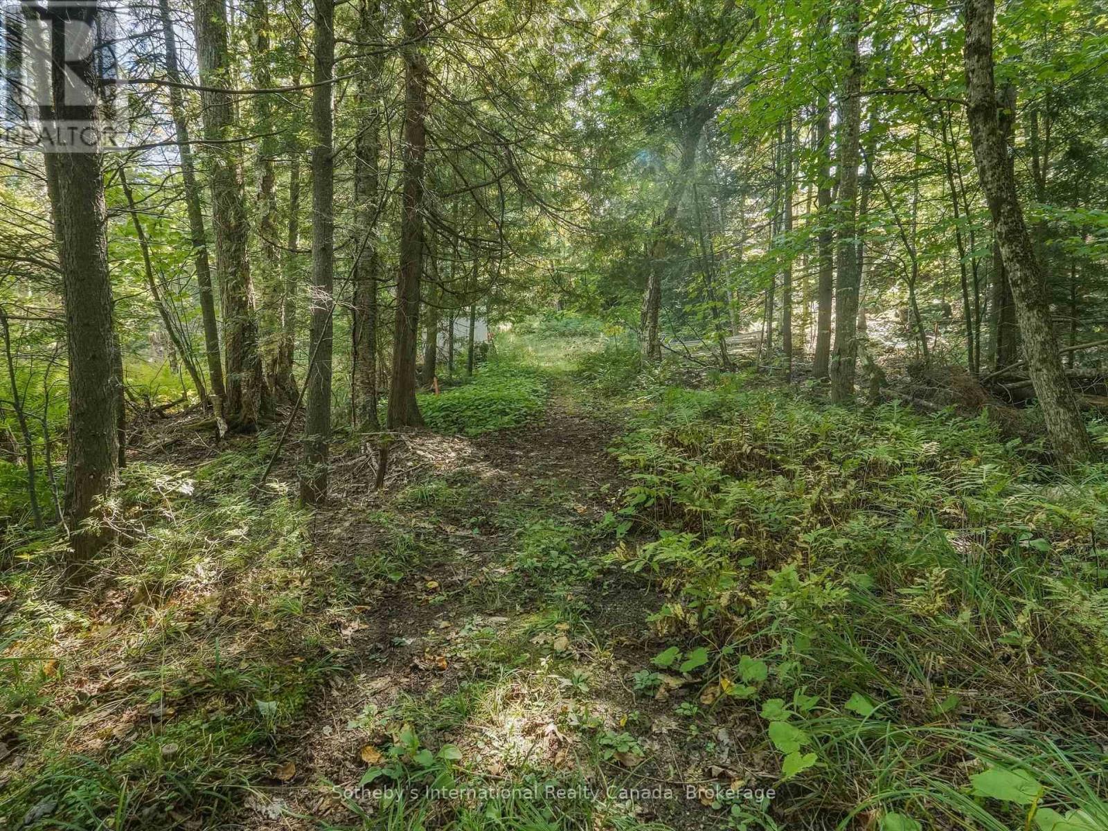 0 Bayview Acres, Lake Of Bays, Ontario  P0B 1A0 - Photo 17 - X13826568