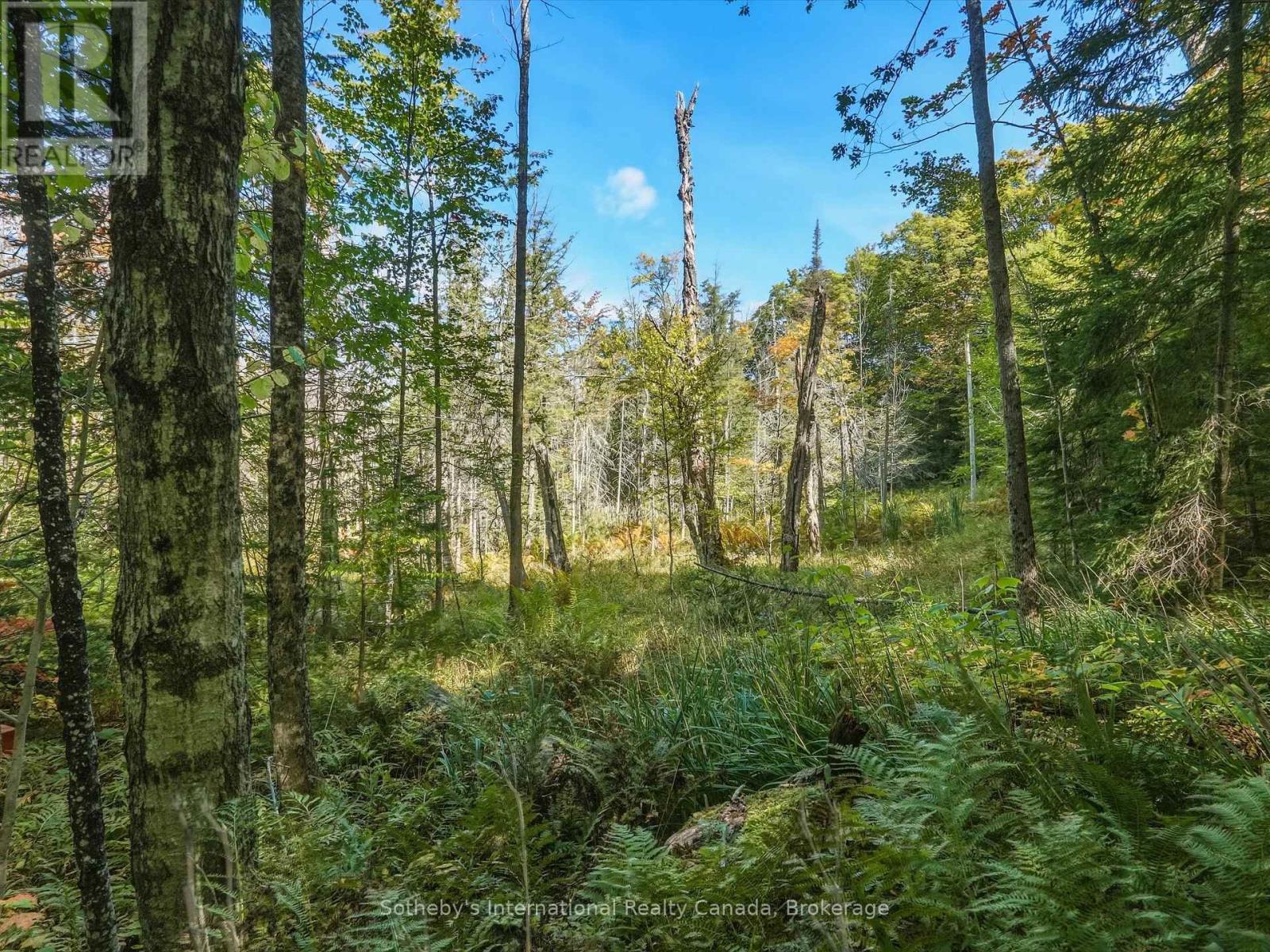 0 Bayview Acres, Lake Of Bays, Ontario  P0B 1A0 - Photo 8 - X13826568